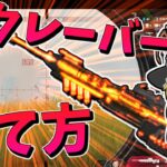 【Apex Legends】クレーバーの当て方を伝授したかったけど、ご覧の有様です【ゆっくり実況】