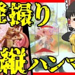 【Apex legends】まともにプレイ出来ない環境。実質1発撮り3000ハンマー！#45【ゆっくり実況】