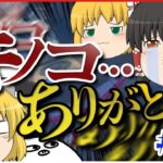【ゆっくり実況】ゆっくり達のマリオカート8DX part91