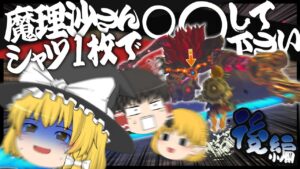 【ゼルダの伝説BotW】魔理沙さんはシャツ1枚で○○できるのか？ 後編【ゆっくり実況】