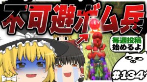 【ゆっくり実況】ゆっくり達のマリオカート8DX part134