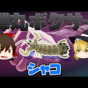 【ゆっくり解説】衝撃の弾丸ボクサー！シャコ【へんないきもの#3】