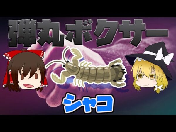 【ゆっくり解説】衝撃の弾丸ボクサー！シャコ【へんないきもの#3】