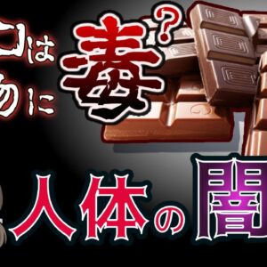 【ゆっくり解説】チョコレートは動物に毒だった！？人体の進化に潜む闇とは…【重大発表あり】