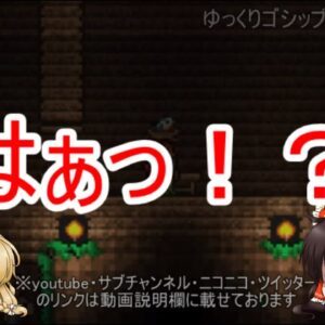 復帰動画コメントへの御礼＋ご返信