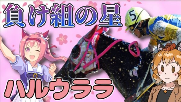 【ゆっくり解説】「ハルウララ」113連敗！？勝てない競走馬がなぜ人気になったのか【ウマ娘】