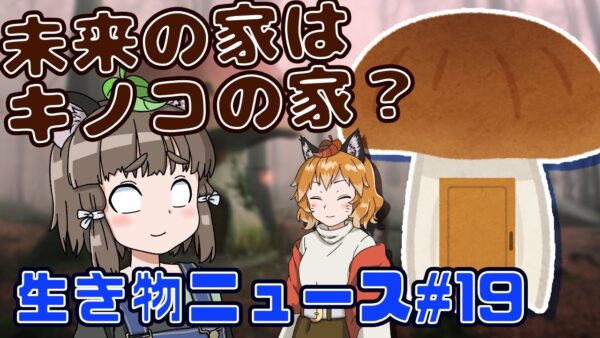 【ゆっくり解説】近未来の家はきのこハウス？口には出しづらい宮崎名産品・さつまいもの隠し武器とは【生き物ニュース#19】