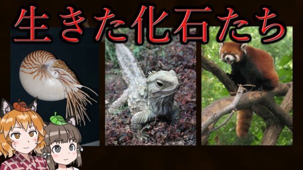 【ゆっくり解説】現代に生きる「生きた化石」8選