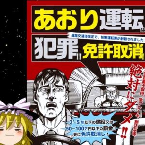 ちょっとおもしろい法律・条令特集その②（道路交通法編）