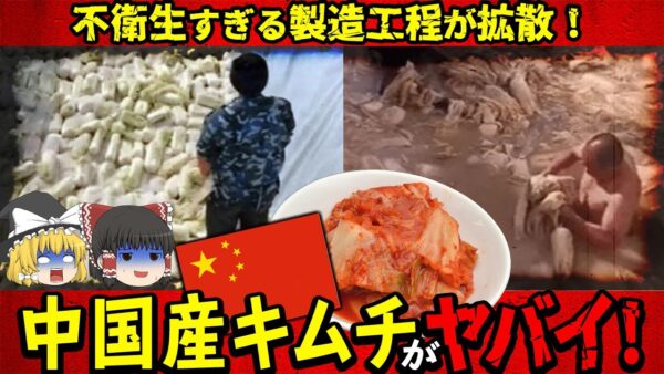 【ゆっくり解説】超危険！中国産キムチの製造工程がヤバすぎると話題に...