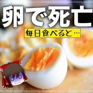 【ゆっくり解説】卵を食べ過ぎるとどうなるのか？一日に食べて良い数について