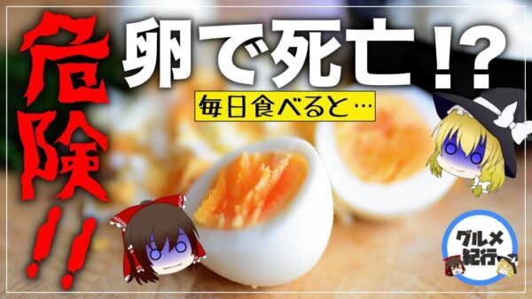 【ゆっくり解説】卵を食べ過ぎるとどうなるのか？一日に食べて良い数について