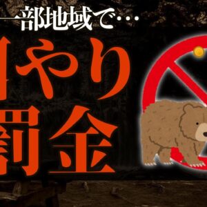 【ゆっくり解説】クマの餌付けがついに罰金！？国立公園などで全面禁止へ…【自然公園法改正案】