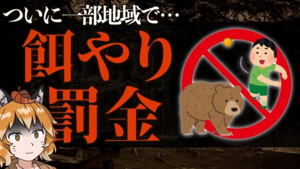 【ゆっくり解説】クマの餌付けがついに罰金！？国立公園などで全面禁止へ…【自然公園法改正案】