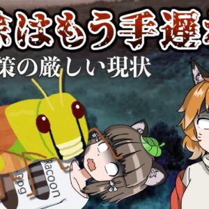 【ゆっくり解説】蝗害対策はもはや手遅れ！？厳しすぎる駆除の現状…