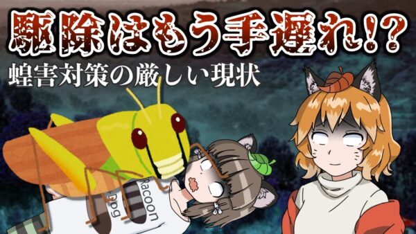 【ゆっくり解説】蝗害対策はもはや手遅れ！？厳しすぎる駆除の現状…