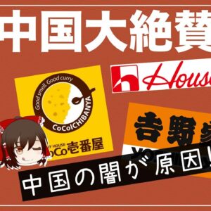 【ゆっくり解説】日本食に中国人が大絶賛！日本食ブームの理由には中国の闇が原因！？【海外の反応】