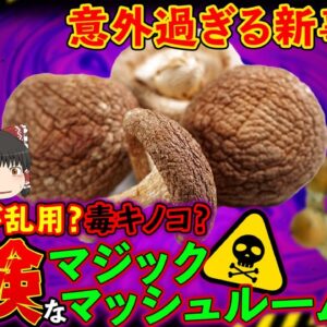 【ゆっくり解説】芸能人が乱用？うつ病を治す？マジックマッシュルームの効能がヤバすぎた！？