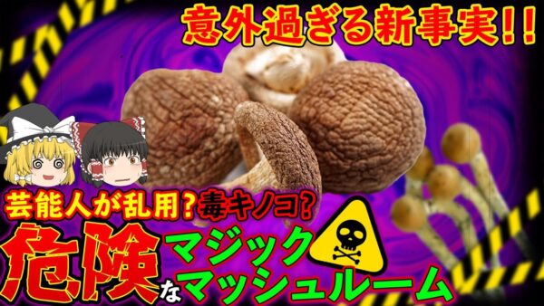 【ゆっくり解説】芸能人が乱用？うつ病を治す？マジックマッシュルームの効能がヤバすぎた！？