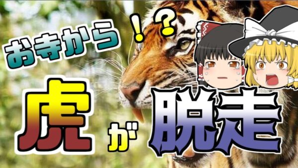 【ゆっくり解説】お寺の虎が脱走 町はパニックに...『君津神野寺虎脱走』