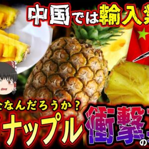 【ゆっくり解説】台湾産パインが中国で規制！？日本ではまだ禁輸されていない理由について