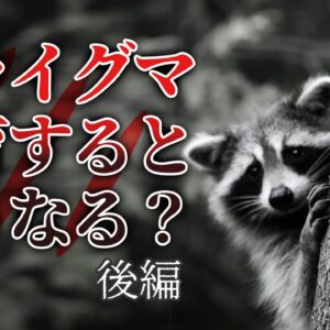 【ゆっくり解説】アライグマを飼育するとどうなる？壮絶な飼育記録（後編）