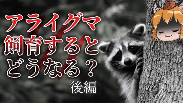 【ゆっくり解説】アライグマを飼育するとどうなる？壮絶な飼育記録（後編）