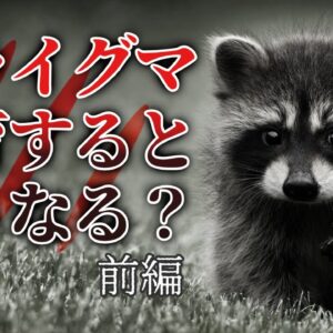 【ゆっくり解説】アライグマを飼育するとどうなる？壮絶な飼育記録（前編）