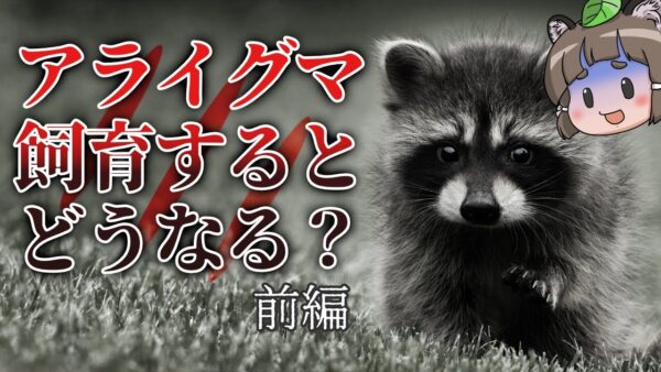 【ゆっくり解説】アライグマを飼育するとどうなる？壮絶な飼育記録（前編）
