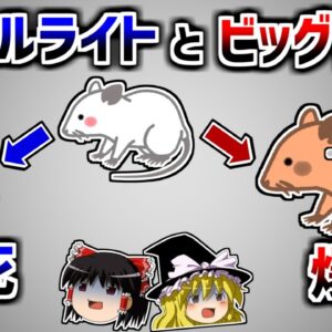 【ゆっくり解説】スモールライトを浴びると体はどうなるのか？