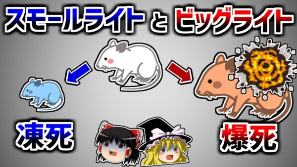 【ゆっくり解説】スモールライトを浴びると体はどうなるのか？