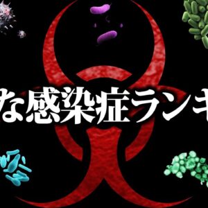 【ゆっくり解説】致死率100%！？かかるとヤバい感染症ランキングベスト10
