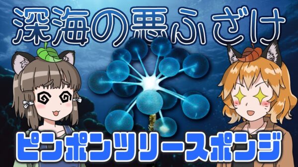 【ゆっくり解説】神様の悪ふざけ？ピンポンツリースポンジ【へんないきもの#63】