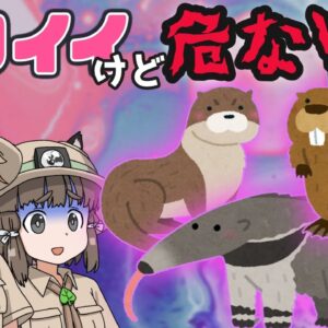 【重大発表あり】ギャップがヤバい！可愛いけど危険な生き物7選【ゆっくり解説】