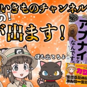 【祝二冊目】本を出したYouTuberの1日のルーティンとお金事情を語ります【ゆっくり解説】