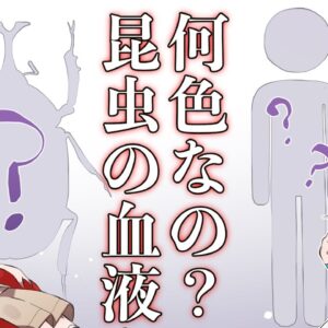 【漫画】昆虫の血の色って何色なの？【マンガ動画／ゆっくり解説】