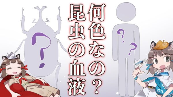 【漫画】昆虫の血の色って何色なの？【マンガ動画／ゆっくり解説】