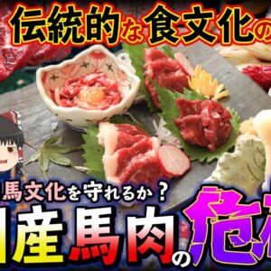 【ゆっくり解説】純国産の馬肉が危機を迎えている⁉︎現状を調査してみたけ結果...