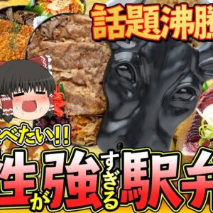 【ゆっくり解説】現地に行ってでも食べたい！ 個性が強すぎる駅弁たちについて