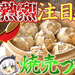 【ゆっくり解説】かつや、大阪王将、味の素が熱烈に焼売に力を入れてる理由とは⁉︎焼売ブームの謎に迫る！
