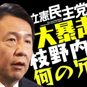 立憲民主党、枝野内閣とかいう意味不明な理論を展開する【ゆっくり解説】