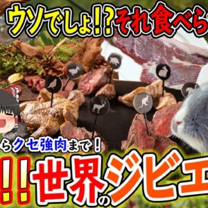 【ゆっくり解説】そんな動物まで!?世界の驚くべきジビエの世界達について