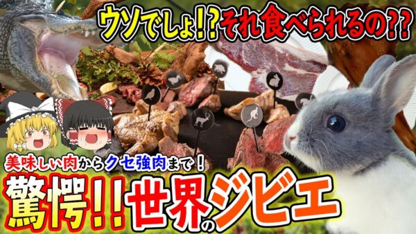 【ゆっくり解説】そんな動物まで!?世界の驚くべきジビエの世界達について