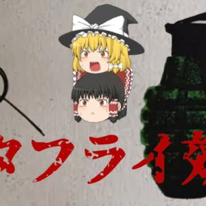 【ゆっくり解説】蝶の羽ばたきが、大災害を引き起こす【バタフライ効果】