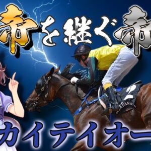 【ゆっくり解説】「トウカイテイオー」皇帝を継ぐ帝王の壮絶過ぎる生涯【ウマ娘】