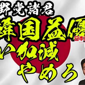韓国中国の国益重視の日本野党【ゆっくり解説】