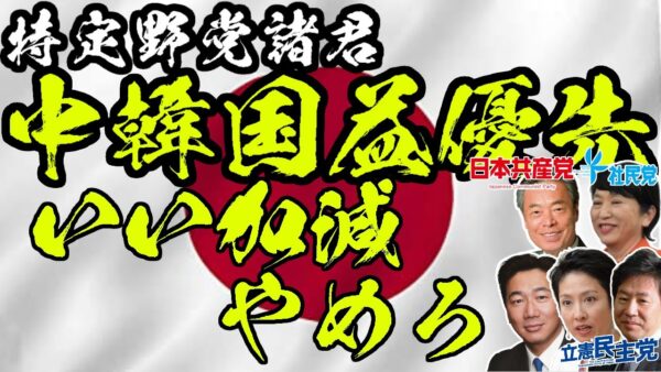 韓国中国の国益重視の日本野党【ゆっくり解説】