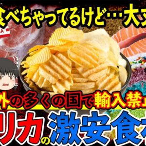 【ゆっくり解説】海外では禁止されている？アメリカの激安食材たちについて