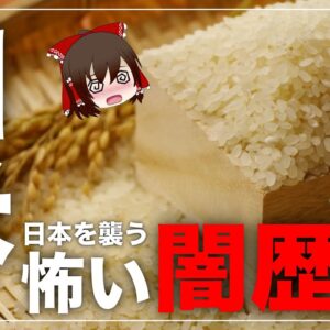 【ゆっくり解説】白米好きの日本人を襲ったヤバい病気の正体について 米の闇歴史