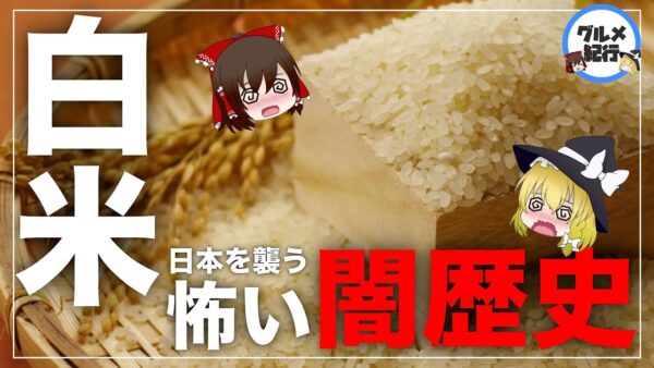 【ゆっくり解説】白米好きの日本人を襲ったヤバい病気の正体について 米の闇歴史